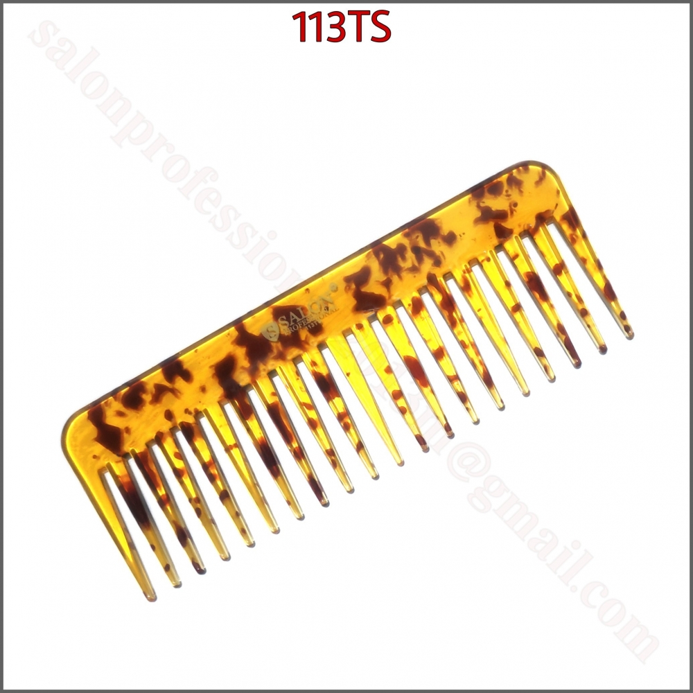 113TS
