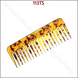 113TS