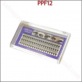 PPF12
