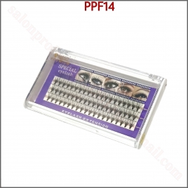 PPF14