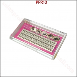 PPR10