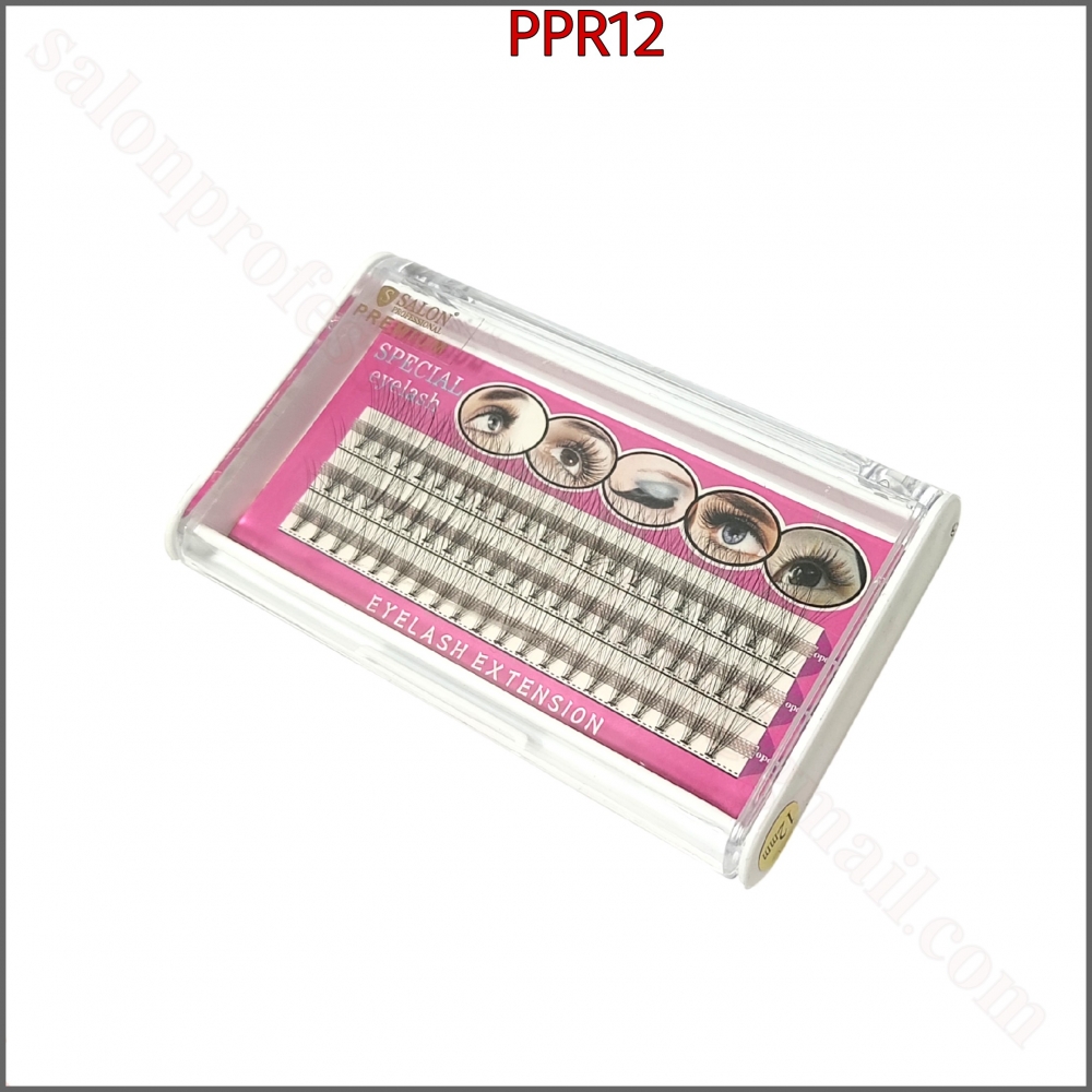 PPR12