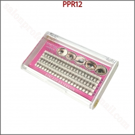 PPR12
