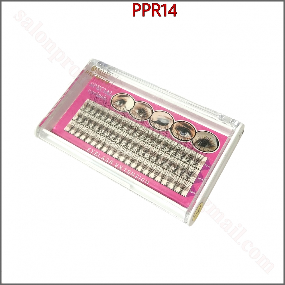 PPR14