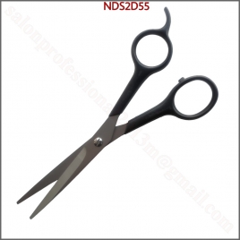 NDS2D55