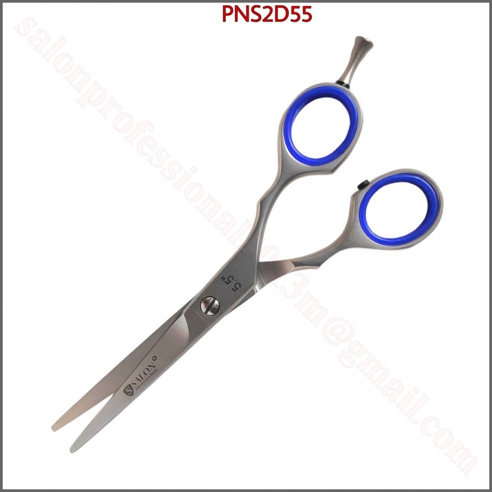 PNS2D55