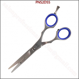PNS2D55